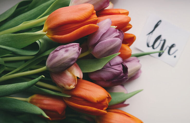 What Makes Whimsy Flowers Unique?