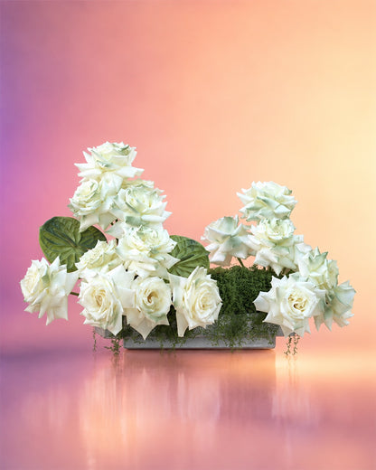 White Rose Elegance