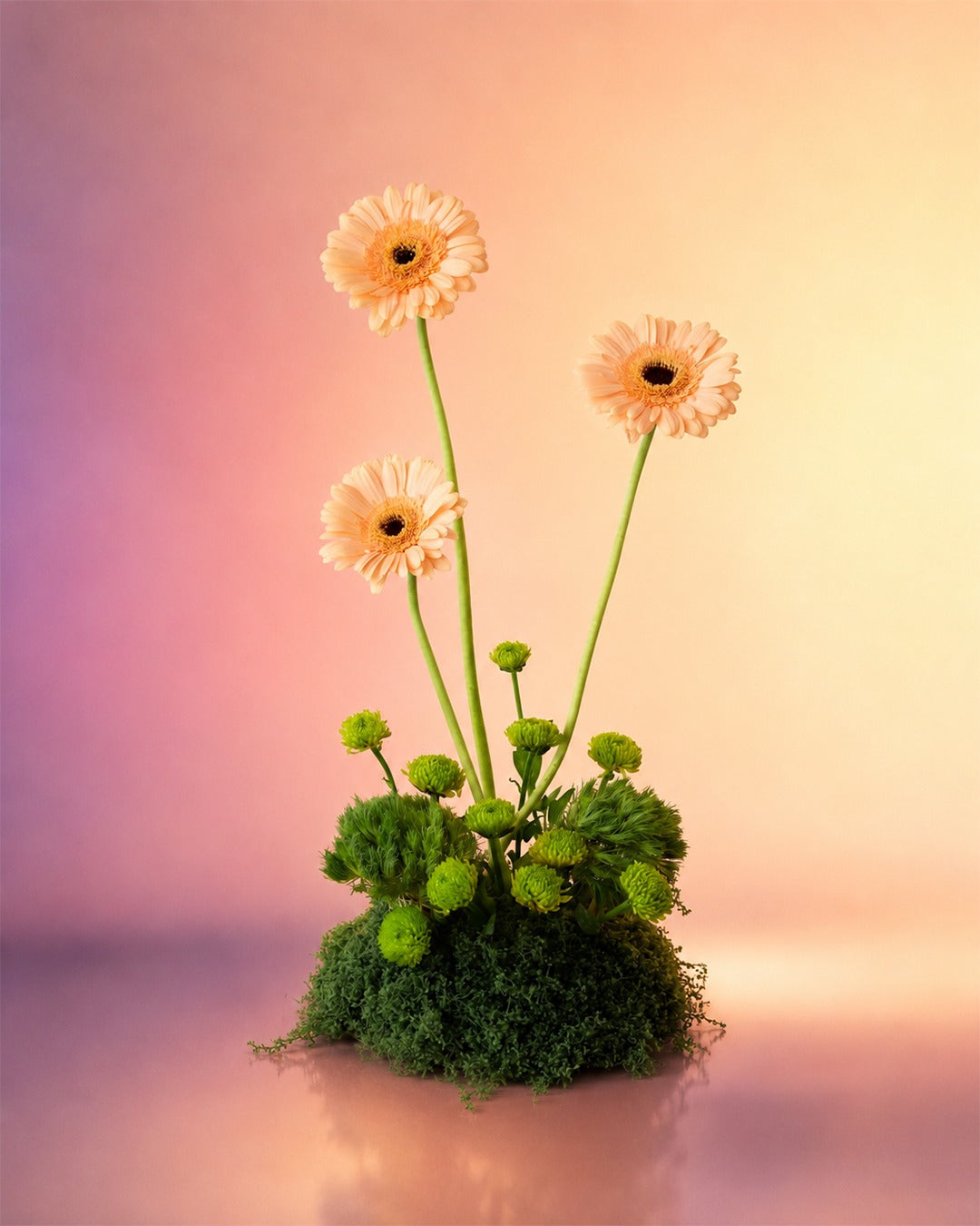 Gerbera Grace flower centerpiece with cheerful pink gerberas in a moss base from Whimsy Flowers Abu Dhabi.