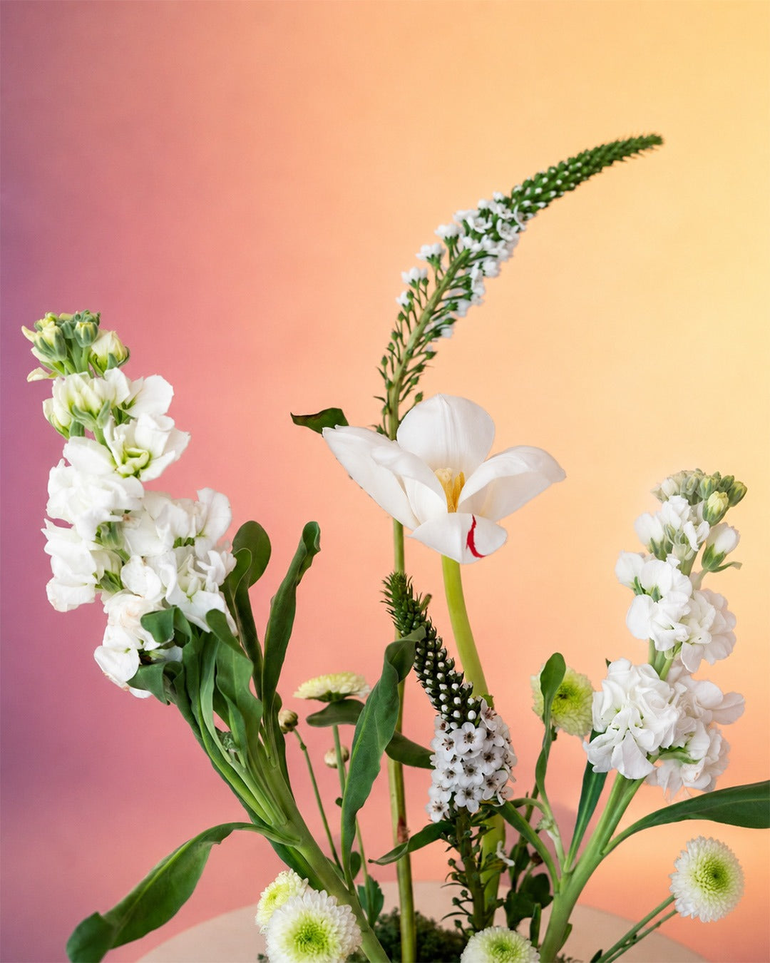 Tranquil Garden flower centerpiece with delicate white blooms in a moss base from Whimsy Flowers Abu Dhabi.