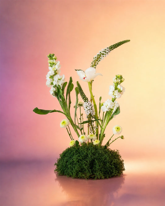 Tranquil Garden flower centerpiece with delicate white blooms in a moss base from Whimsy Flowers Abu Dhabi.