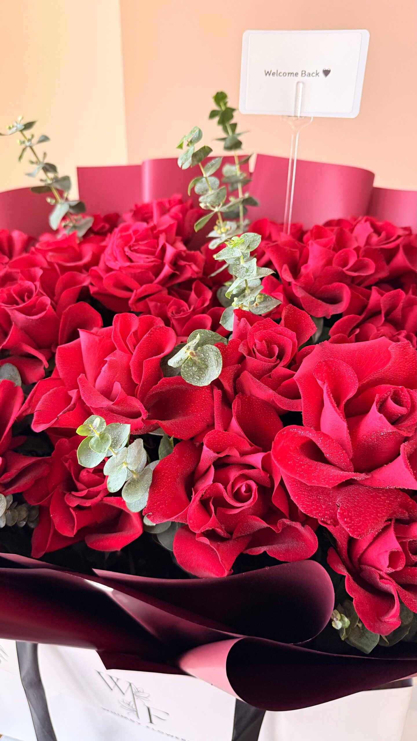 WhatsApp Image 2025-06-03 at 13.09.44