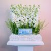 Pure Elegance Gift Garden