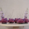 Purple Poetry Set of 4