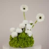 Pearl Garden (Single piece)