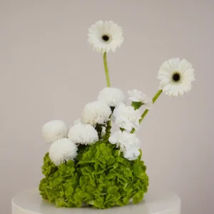 Pearl Garden (Single piece)