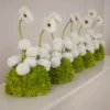 Pearl Garden set of 4